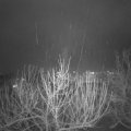 Webcam_20210107-191500