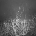Webcam_20210107-194500