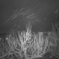 Webcam_20210107-201500
