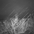 Webcam_20210107-203000