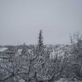 Webcam_20210108-110000
