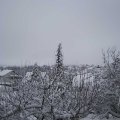 Webcam_20210108-114500