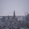 Webcam_20210108-123000