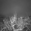 Webcam_20210108-184500