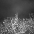 Webcam_20210108-201500