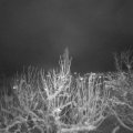 Webcam_20210108-203000