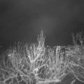 Webcam_20210108-204500