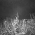 Webcam_20210108-211500