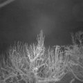 Webcam_20210109-064500