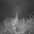 Webcam_20210109-070000