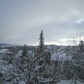 Webcam_20210109-111500