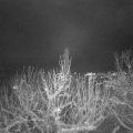 Webcam_20210109-190000