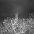 Webcam_20210109-194500
