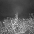 Webcam_20210109-200000