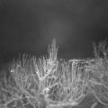 Webcam_20210109-201500
