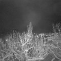 Webcam_20210109-204500