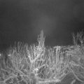 Webcam_20210109-210000