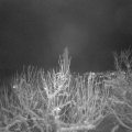 Webcam_20210109-211500