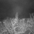 Webcam_20210110-203104