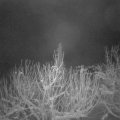 Webcam_20210111-054500