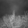 Webcam_20210111-060000