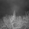Webcam_20210111-061500