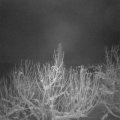 Webcam_20210111-074500