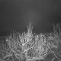 Webcam_20210111-184500