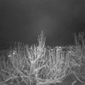 Webcam_20210111-194500