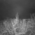 Webcam_20210111-201500