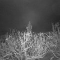 Webcam_20210111-203000