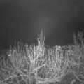 Webcam_20210111-211500