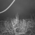 Webcam_20210112-053000