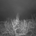 Webcam_20210112-054500