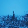 Webcam_20210112-091500