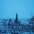 Webcam_20210112-094500