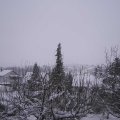 Webcam_20210112-100000