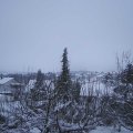 Webcam_20210112-103000