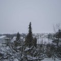 Webcam_20210112-154500