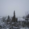 Webcam_20210112-161500