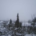 Webcam_20210112-163000