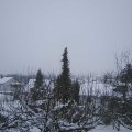 Webcam_20210112-164500
