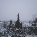 Webcam_20210112-170000