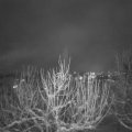 Webcam_20210112-184500
