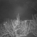 Webcam_20210112-190000