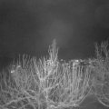 Webcam_20210112-191500