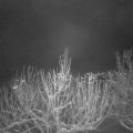 Webcam_20210112-210000