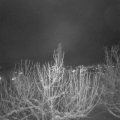 Webcam_20210112-211500