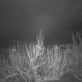 Webcam_20210113-050000