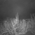 Webcam_20210113-051500